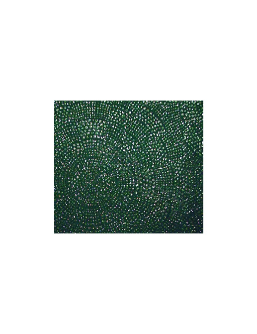 Обои Marburg Benares 50108