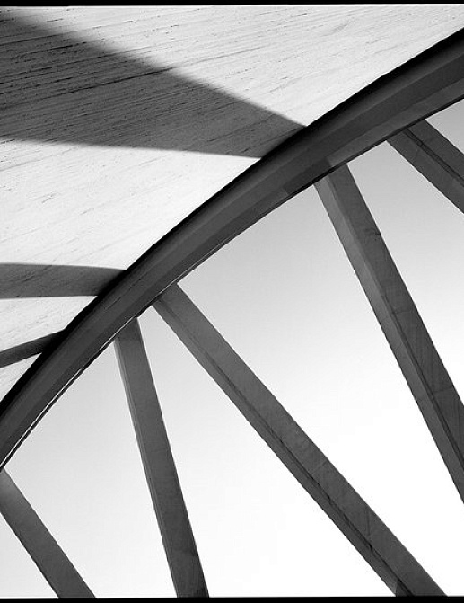 Панно и фотообои JWall One WJE00901