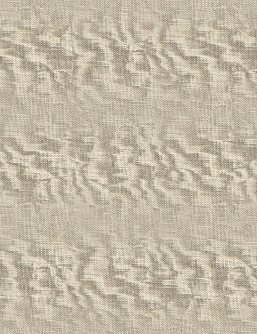 Ткань Kravet Embellished Linen 33840/16