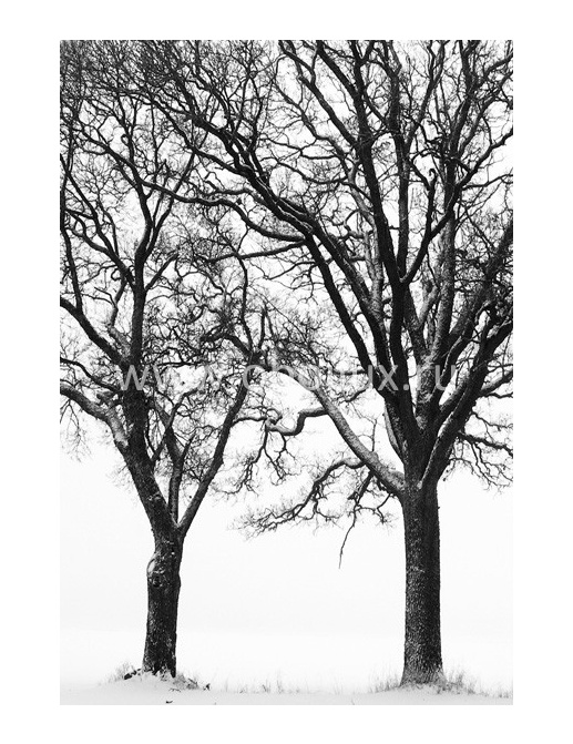 Обои Mr Perswall Photo art P020501-4