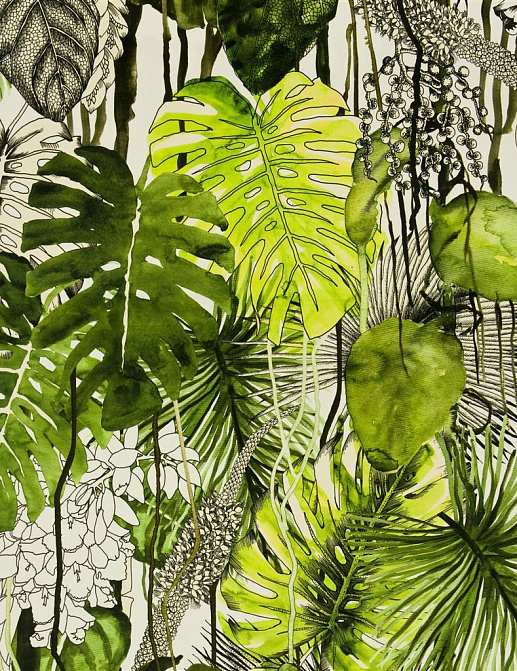 Ткань Christian Lacroix Belles Rives Prints And Weaves FCL038/02