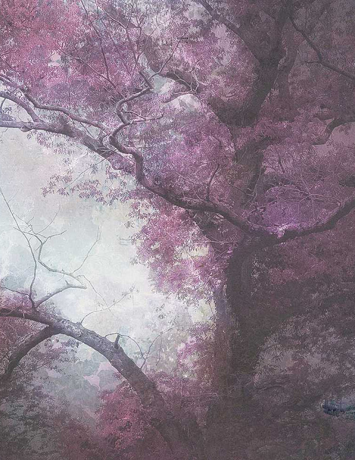 Панно и фотообои Tecnografica Collection 2021 77112-1