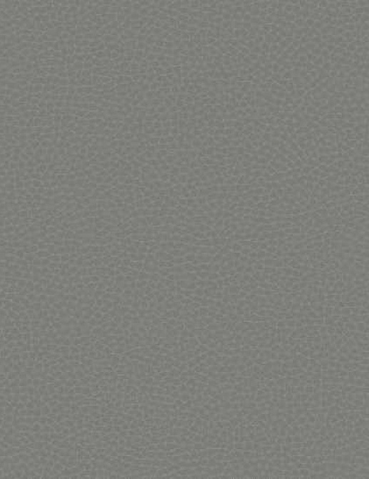 Обои Carl Robinson Edition 17 - Loft CR88002