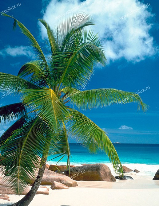 Панно и фотообои A. S. Creation XXL II 333 Beach