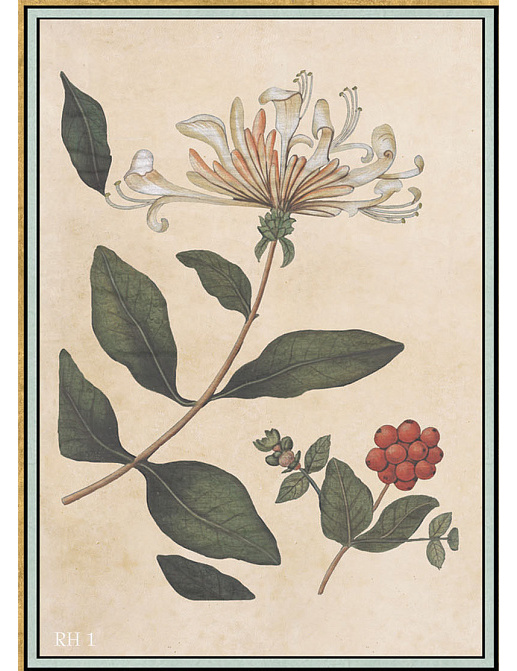 Панно и фотообои Iksel Scenic & Architectural Wallpapers Renaissance Herbier RH1
