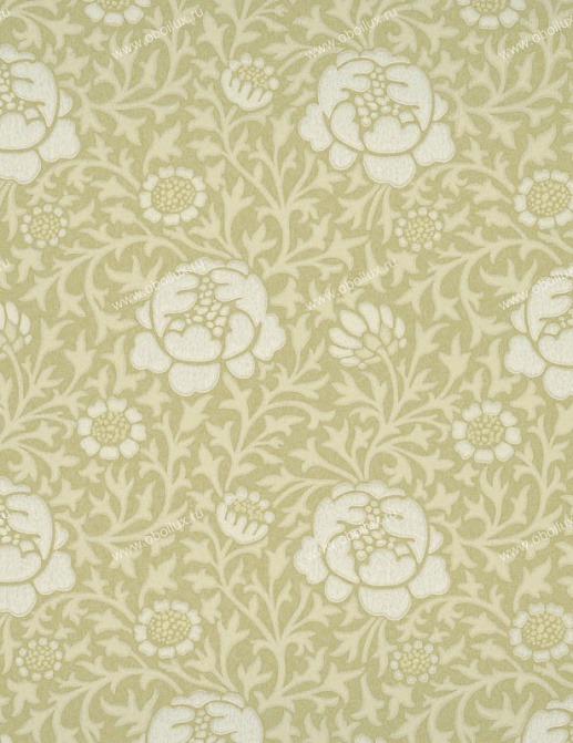 Обои Little Greene London Wallpapers II 0273LWSHERW
