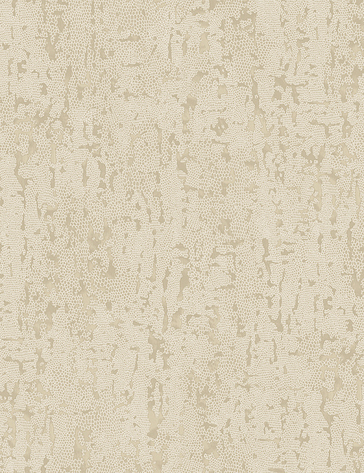 Обои Wallquest Imprint BW60207