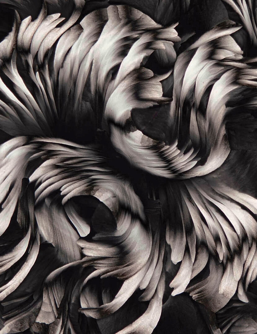 Панно и фотообои Wall & Deco Contemporary Wallpaper Collection 2023 WDAC2301