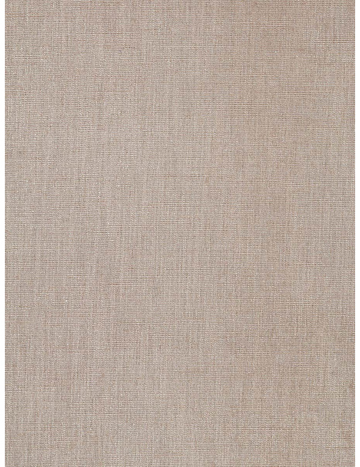 Ткань Fabricut Olids By Color Taupe Yohan Dazzle/Mocha silver