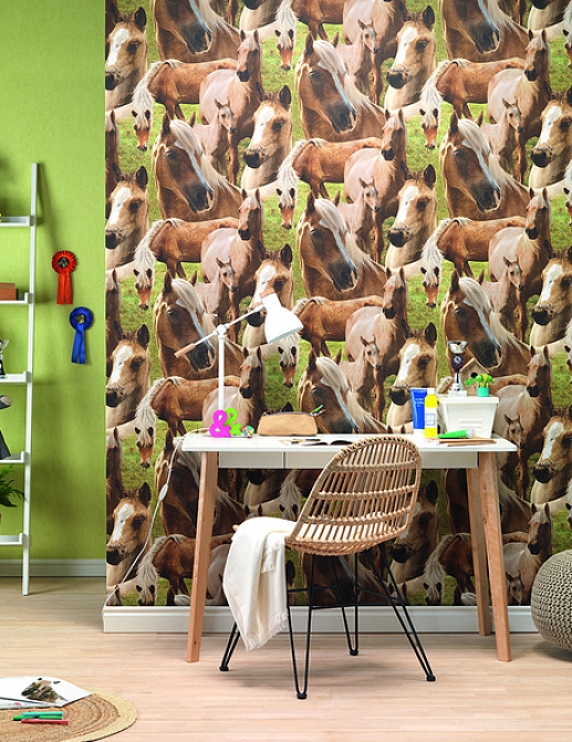 Обои Rasch Kids & Teens II 293104
