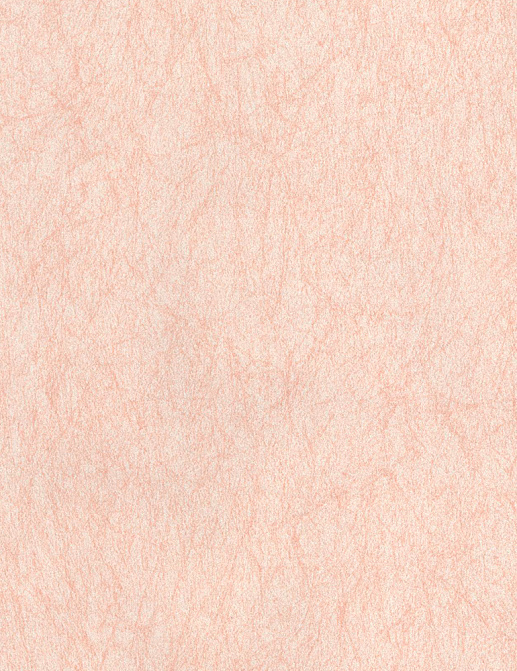 Обои Grandeco Velvet VT-03-08-9