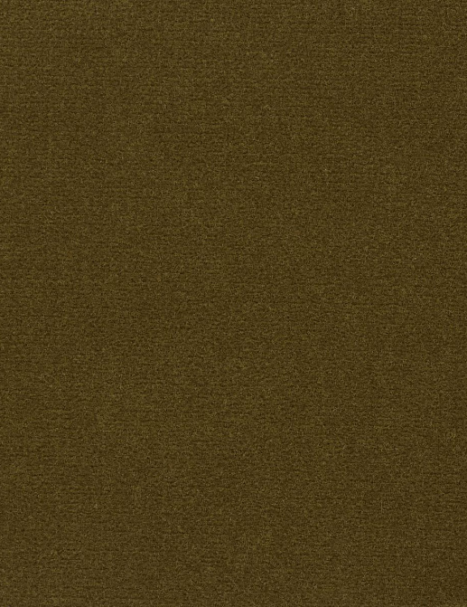 Ткань Loro Piana Cotton Velvet II AC3036/007