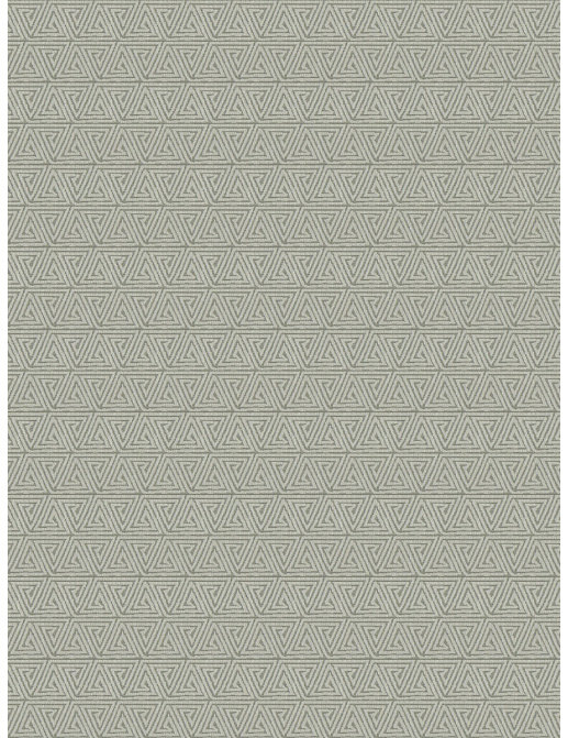 Ткань Fabricut Chromatics Vol.XXVI Ecru Triveni/Silver