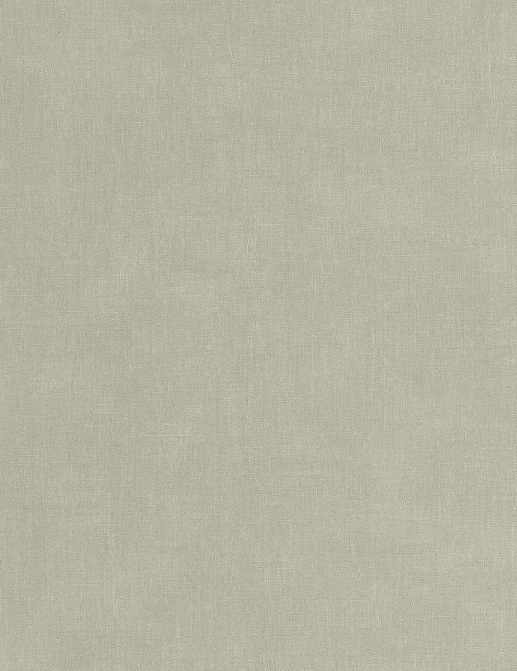 Обои Casadeco Etamine ETAM200259424