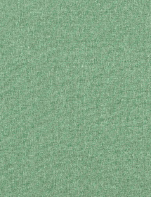 Ткань Baker Lifestyle Notebook Carnival Plain PF50420/785