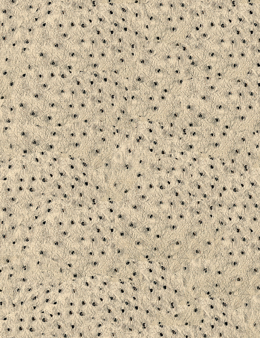 Ткань Kravet Modern Luxe Mica 32515/101