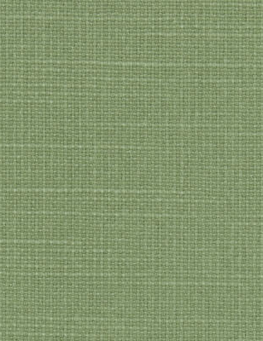 Ткань Designers Guild Salso F1797/24