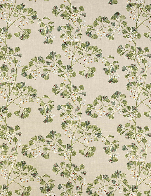 Ткань Colefax and Fowler Jardine F4705/04