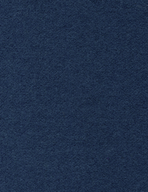 Ткань Elitis Flanelle WO10148