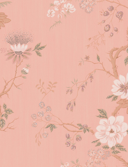 Обои Cole & Son Collection of Flowers 65/1004