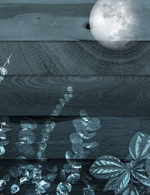 Панно и фотообои Skinwall Contemporary Collection 129