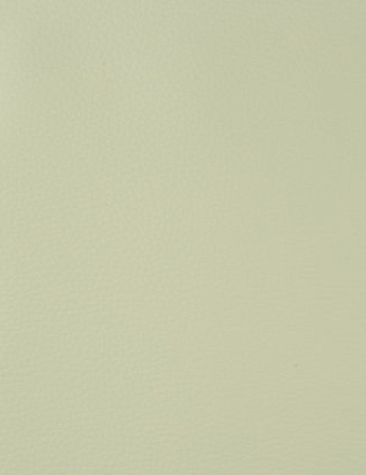 Ткань Designers Guild Santiago F1676/03