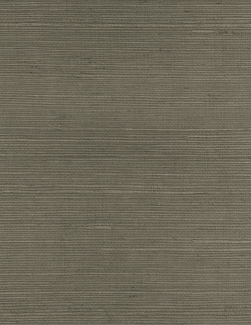 Обои Paper & Ink Pure Elements SY21828