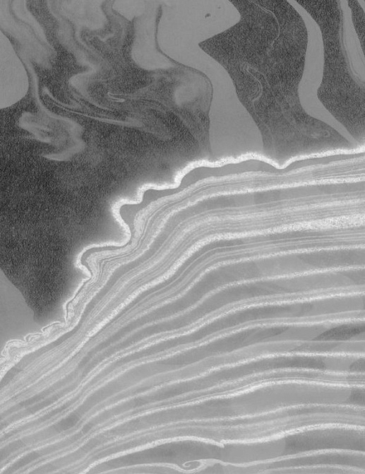 Панно и фотообои Calico Sumi Swell