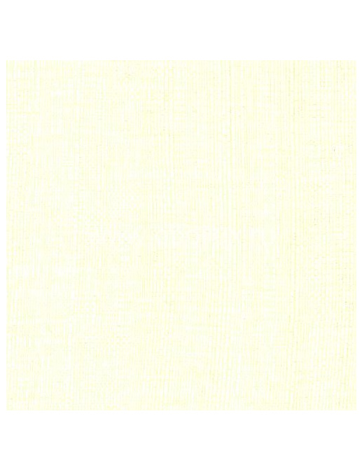 Обои Elitis Soie VP62033