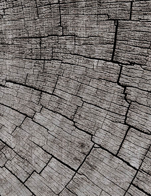 Панно и фотообои Glamora Creative Wallcovering GLCR021A