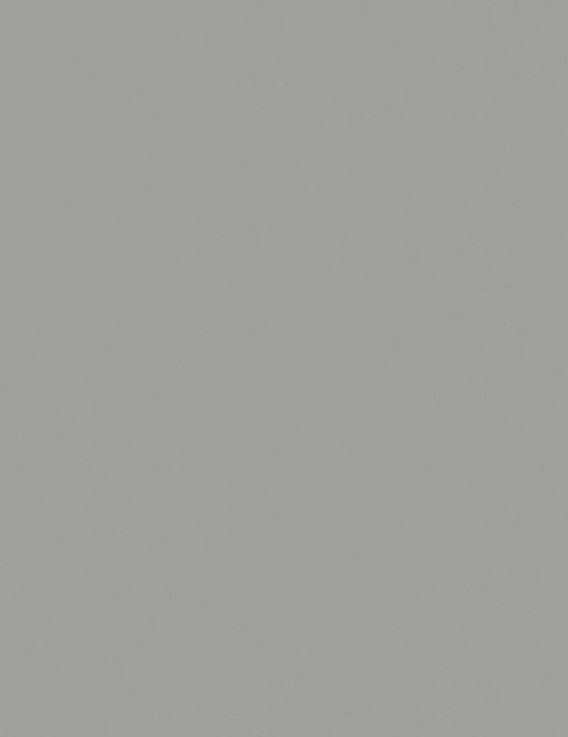 Обои Borastapeter Ornament 3603