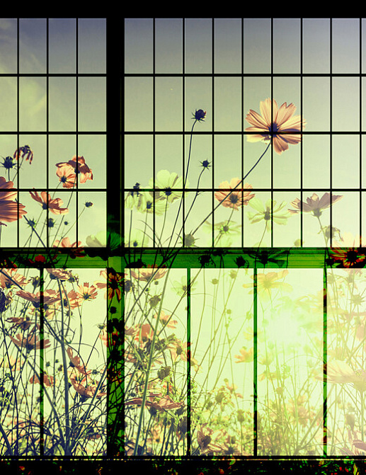 Панно и фотообои A. S. Creation Living Walls - Walls by Patel 2 DD113753