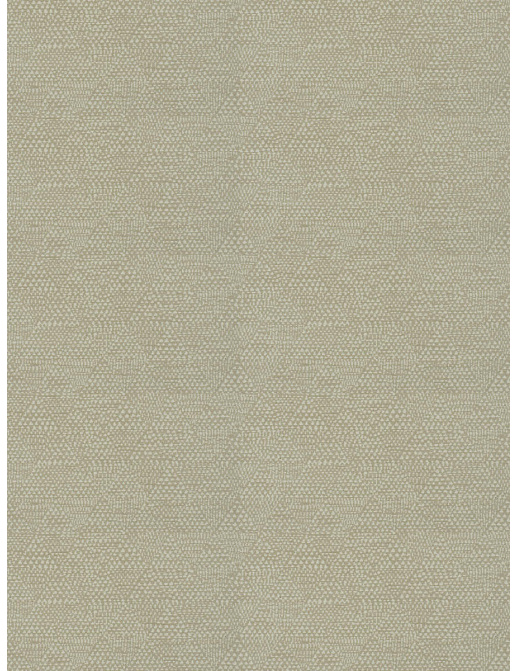 Ткань Fabricut Chromatics Vol.XXVI Ecru IzikoTribal/Cream