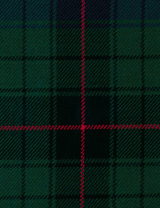 Ткань The Isle Mill Tartans II MWS2081/IM