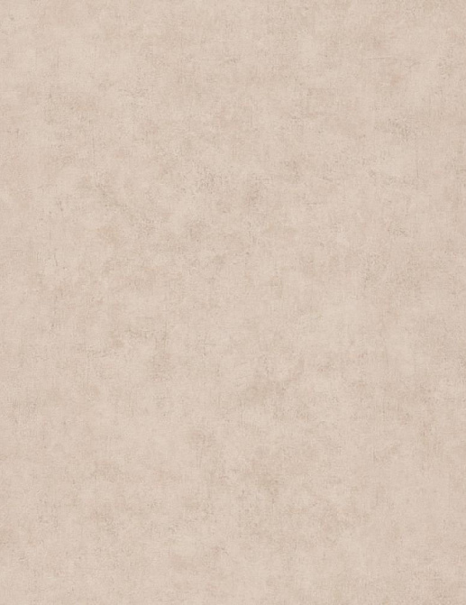 Обои Caselio Beton 101491287