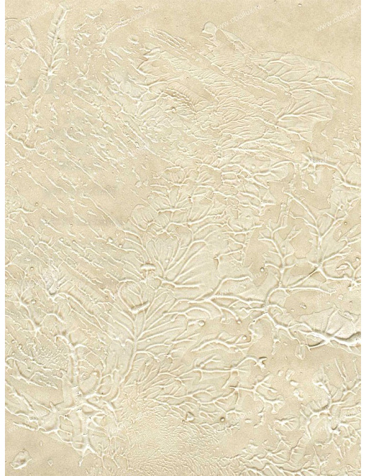 Обои Schumacher Atelier 5003500