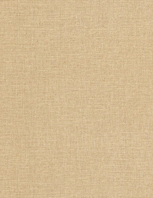 Обои Caselio Jute Essentiel JUT104011299