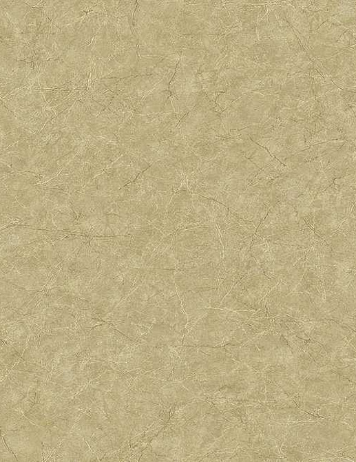 Обои Carl Robinson Edition 17 - Loft CR81215