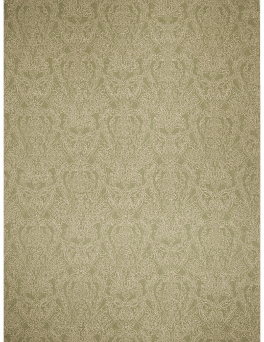 Ткань Stroheim Charles Faudree Prints Chattooga paisley/Sage
