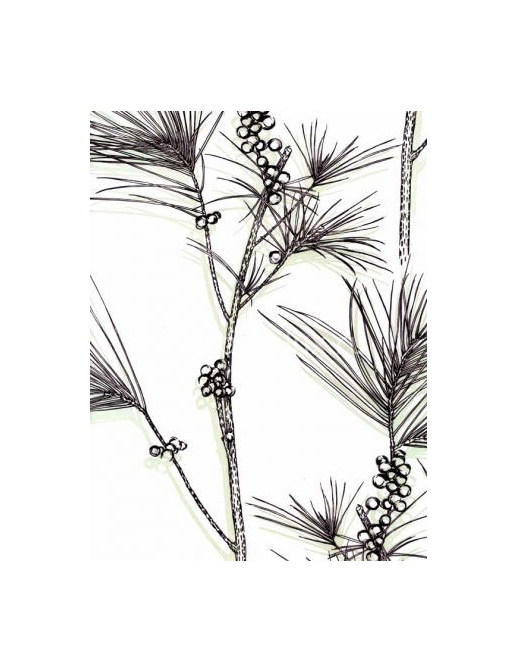 Обои Cole & Son The Contemporary III 83/7028