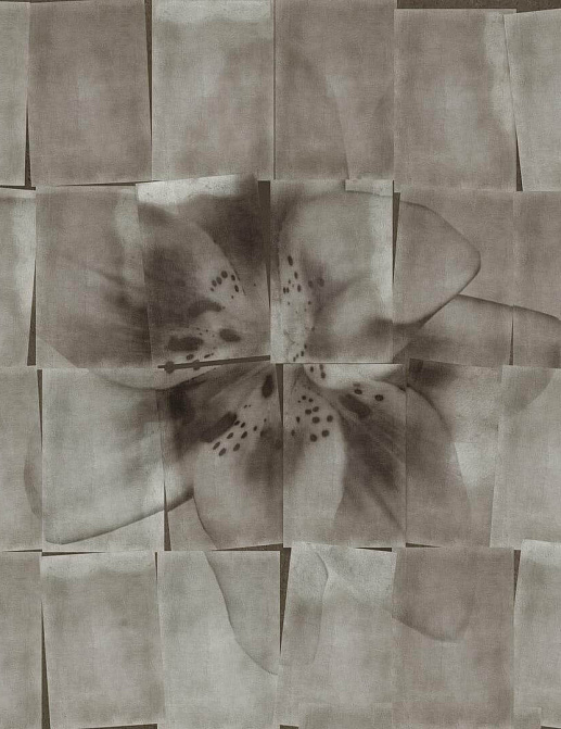 Панно и фотообои Wall & Deco Contemporary Wallpaper 2022 WDSI2201