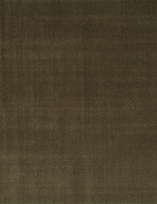 Ткань Zoffany Birodo velvet 332422