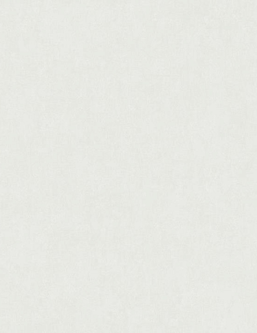 Обои Artsimple Valley ARTS13106/1