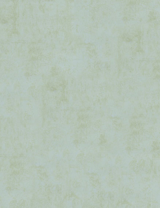 Обои Aura Plain Resource vol. 1 B1181106