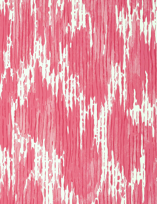 Обои Thibaut Eden T20818