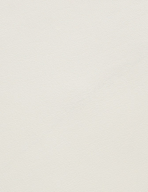 Ткань Holly Hunt Holly Hunt Leather 9376/19
