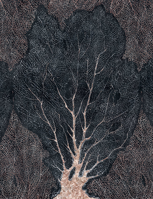 Обои Factura Collection 2021 FORESTA/7