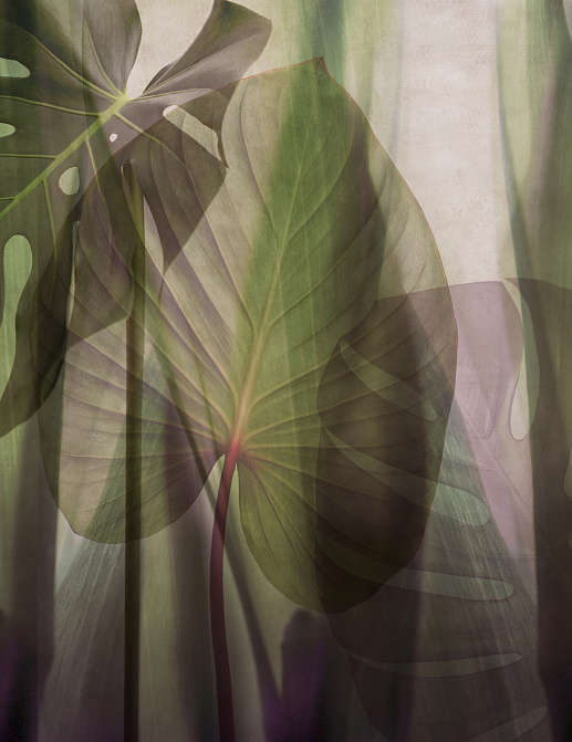 Панно и фотообои Glamora Creative Wallcovering GLRO104A