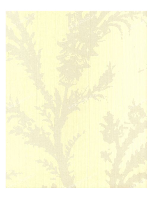 Обои Osborne & Little Wallpaper Album V W5720-06