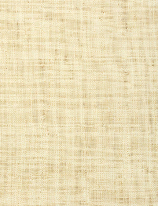 Обои Thibaut Grasscloth Resource 4 T72877